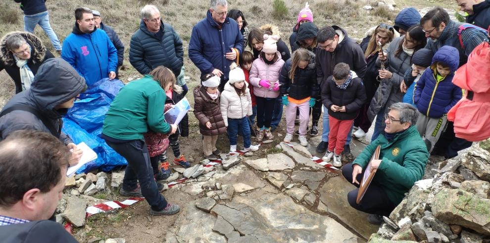 Imagen del artículo La Fundación Dinópolis halla 40 nuevos fósiles de reptil volador en el yacimiento 'El Pozo' de El Castellar
