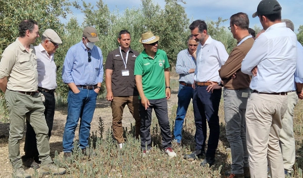 Imagen del artículo Fernández-Pacheco valora Aguilar de la Frontera como sede española del proyecto Framework