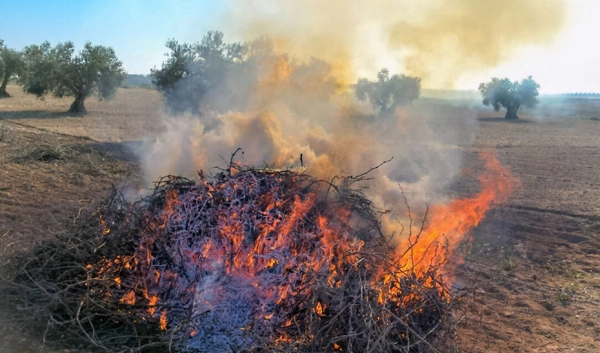 Imagen del artículo Prolongada la prohibición de quemas agrícolas para prevenir incendios forestales hasta el 15 de octubre