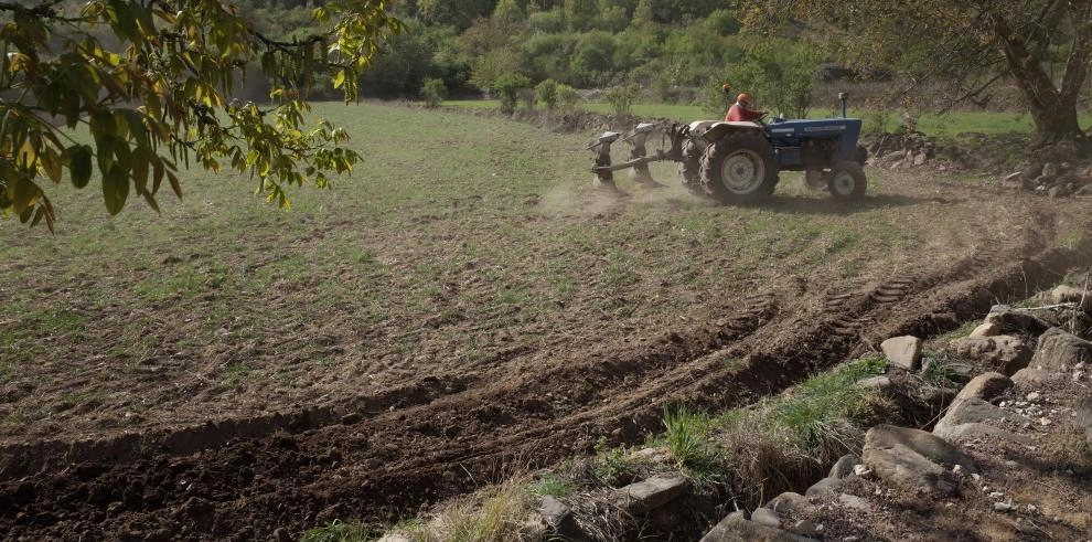 Imagen del artículo Resultados provisionales de las elecciones al Comité Aragonés de Agricultura Ecológica
