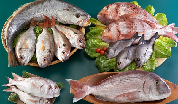 Imagen del artículo La Junta pone en marcha un plan de acción para promocionar la pesca y la acuicultura andaluzas
