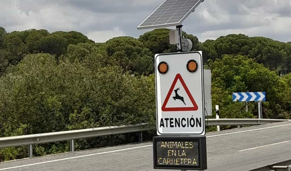 Imagen del artículo Un nuevo dispositivo, único en España, evitará el atropello de animales