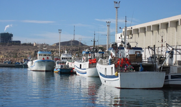 Imagen del artículo La Junta expresa su preocupación por la no renovación del acuerdo de pesca UE-Marruecos