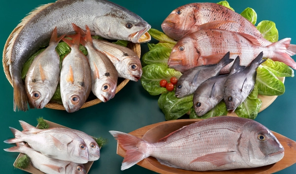 Imagen del artículo Carmen Crespo lamenta que en la rebaja del IVA no se haya incluido a la carne y el pescado