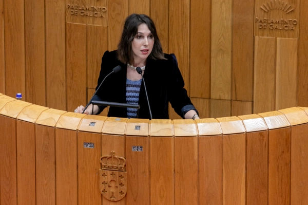 Image 1 of article Lorenzana pide o apoio da cámara para cambiar a Lei de Industria, que ignora a Galicia na planificación enerxética e pon en risco proxectos estratéxicos