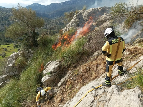 Imagen del artículo El Govern inicia trabajos de prevención de incendios forestales y control de especies invasoras mediante quemas controladas