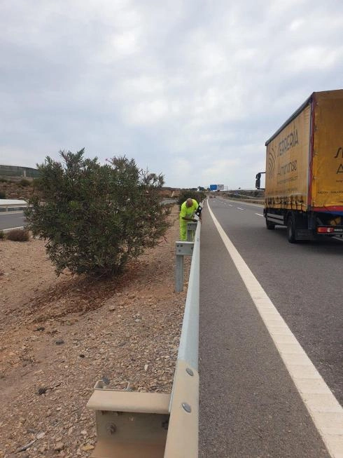 Image 3 of article Transportes adjudica por 15,5 millones de euros un contrato para la conservación de 274 km de carreteras en Almería