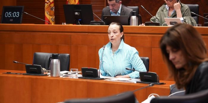 Image 1 of article Susín confirma que Aragón ha ejecutado casi 319 millones en dependencia en 2024, un récord histórico de financiación