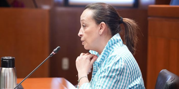 Image 2 of article Susín confirma que Aragón ha ejecutado casi 319 millones en dependencia en 2024, un récord histórico de financiación