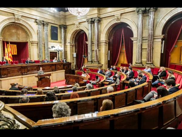 Imagen del artículo El Parlament convalida el Decret llei de simplificació administrativa en l'àmbit de la contractació