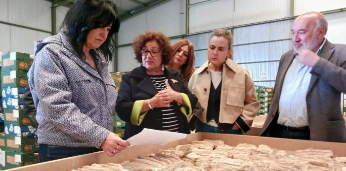 Image 3 of article La directora general de Patrimonio Cultural conoce el proyecto de restauración del Conjunto Fortificado Islámico de Calatayud