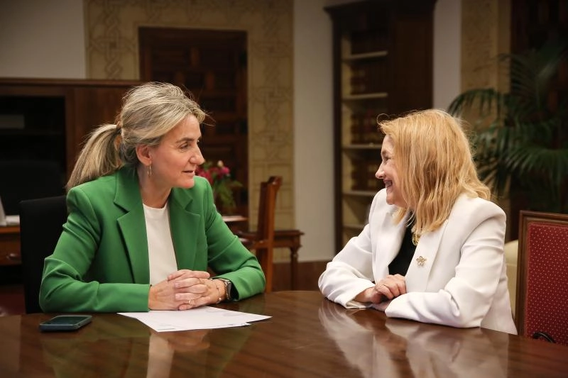 Imagen del artículo Milagros Tolón recibe a la presidenta del Tribunal Superior de Justicia de Castilla-La Mancha