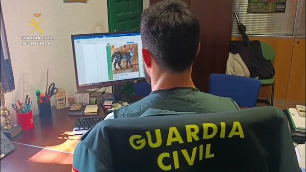 Image 2 of article Detenidas dos personas por vender a través de internet animales exóticos