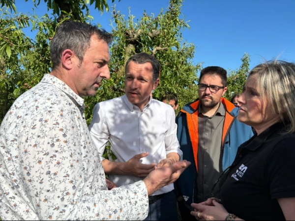 Imagen del artículo El conseller Ordeig acompanya els agricultors afectats a la zona zero de la pedregada