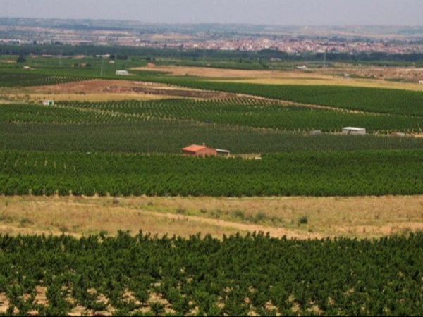 Imagen del artículo El Departament d'Agricultura abona prop de 6 M€ de l'ajut agroambiental als conreus sostenibles de la campanya 2024 a 2.111 agricultors