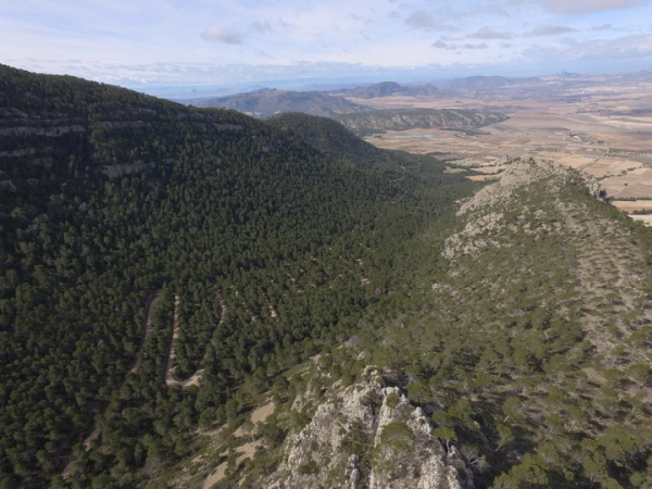 Imagen del artículo La Comunidad impulsa la creación de una red de itinerarios en el Parque Regional de la Sierra del Carche