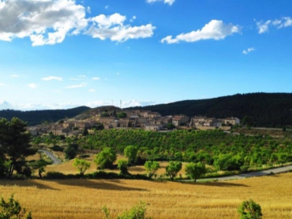 Imagen del artículo El Departament d'Agricultura amplia el termini per demanar els ajuts de sol·licitud única i del contracte global d'explotació 2025