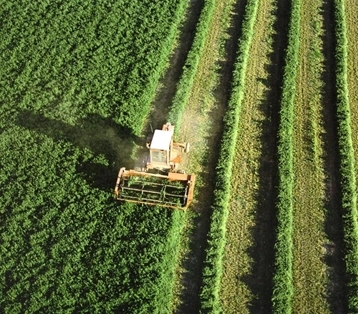 Imagen del artículo El Ministerio de Agricultura, Pesca y Alimentación concede ayudas por 5,6 millones de euros a 33 proyectos de intercambio de conocimiento y formación en el sector agroalimentario
