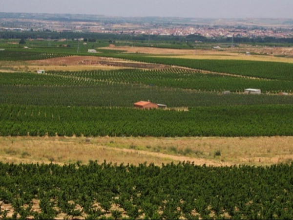 Imagen del artículo El Departament d'Agricultura atorga ajuts a les comunitats de regants per a la millora i la modernització de les xarxes de regadius, per un import total de 23,5 M€