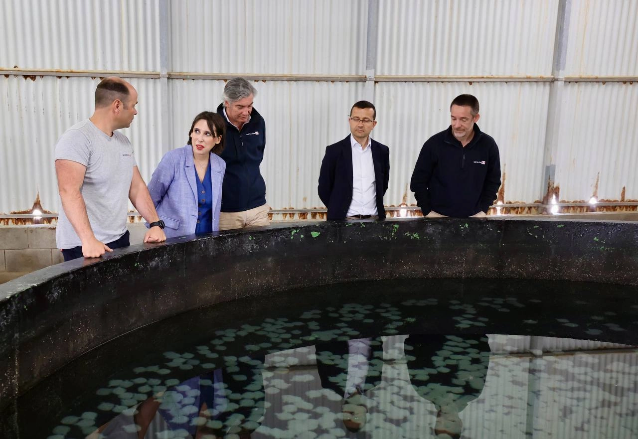 Imagen del artículo Lorenzana reclama ao Goberno que aclare dunha vez por todas as causas do apagamento para dar estabilidade a industrias como Alcoa