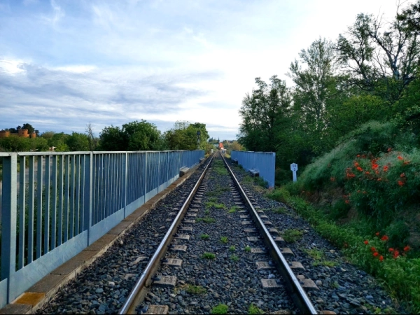 Imagen del artículo Ferrocarrils renovarà un tram de via de la línia Lleida-La Pobla de Segur a Vilanova de la Barca