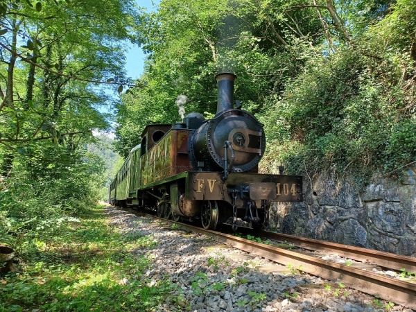 Imagen del artículo 18 de mayo: trenes de vapor y exhibiciones por el 'Día de los Museos'