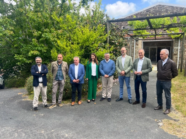 Imagen del artículo Medio Rural salienta o valor emerxente do cultivo da oliveira en Galicia nunha cata de aceites en Sanxenxo