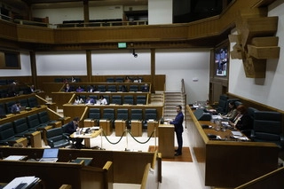 Imagen del artículo Hurtado reafirma en el Parlamento el compromiso del Gobierno Vasco con el control de las viviendas turísticas