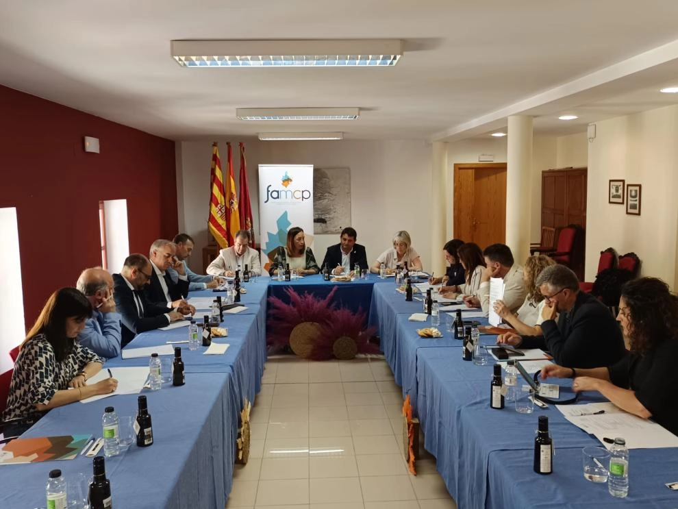 Imagen del artículo Carmen Susín participa en la comisión de localidades de más de 8.000 habitantes de la FAMCP