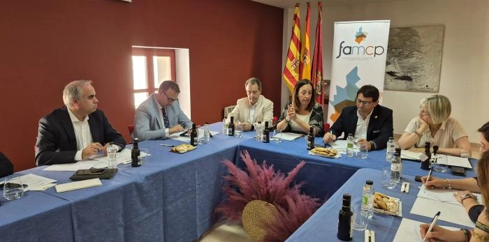 Image 1 of article Carmen Susín participa en la comisión de localidades de más de 8.000 habitantes de la FAMCP