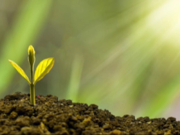 Imagen del artículo El Departament d'Agricultura resol favorablement part dels ajuts a millorar la competitivitat agrària i mitigar el canvi climàtic per 15,3M€