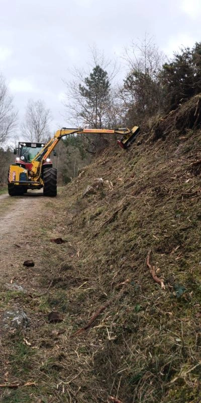 Imagen del artículo La Xunta desarrolla actuaciones preventivas en montes del distrito forestal IX Lugo - Sarria