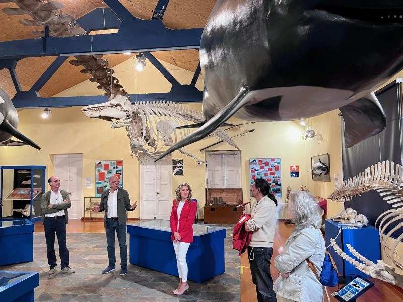 Imagen del artículo Martina Aneiros asiste a la presentación de las nuevas piezas que la Sociedade Galega de Historia Natural incorpora a su museo