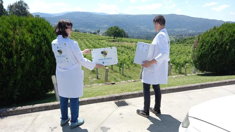 Imagen del artículo La Xunta da comienzo a la recogida de muestras para la Cata de los Vinos, Aguardientes y Licores tradicionales de Galicia 2023