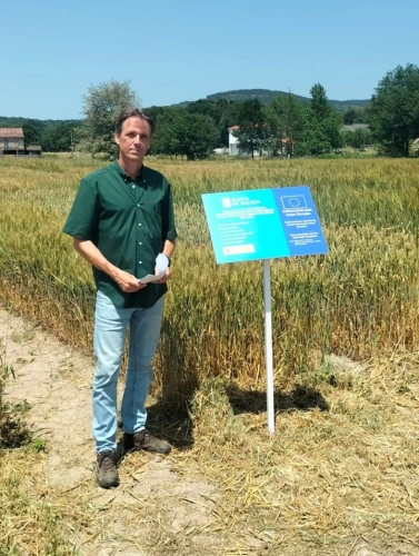 Image 0 of article Medio Rural reforza o seu apoio ao sector do cereal con xornadas divulgativas en Xinzo de Limia sobre novas variedades de inverno