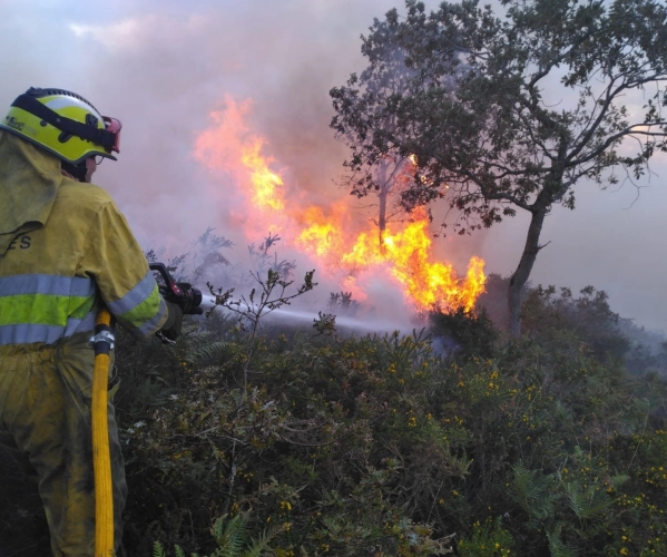 Imagen del artículo Permanecen activos 10 incendios forestales de los 16 provocados en las últimas 24 horas en Cantabria