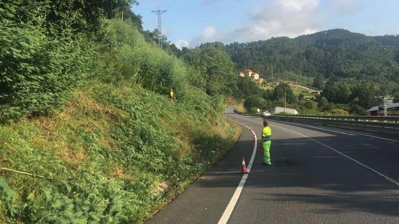 Imagen del artículo La Xunta continuará esta próxima semana los trabajos de limpieza en las márgenes de seis carreteras autonómicas de las cuatro provincias