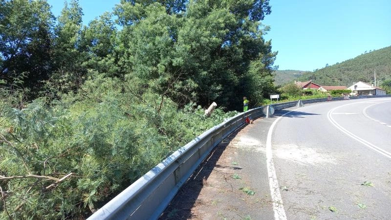 Imagen del artículo La Xunta comenzará esta semana nuevos trabajos de limpieza en los márgenes de la autovía AG-64 en San Sadurniño, y en la carretera LU-160, en Mondoñedo y Alfoz