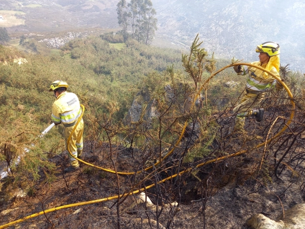 Imagen del artículo Permanecen activos 6 incendios forestales de los 16 provocados en las últimas 24 horas en Cantabria