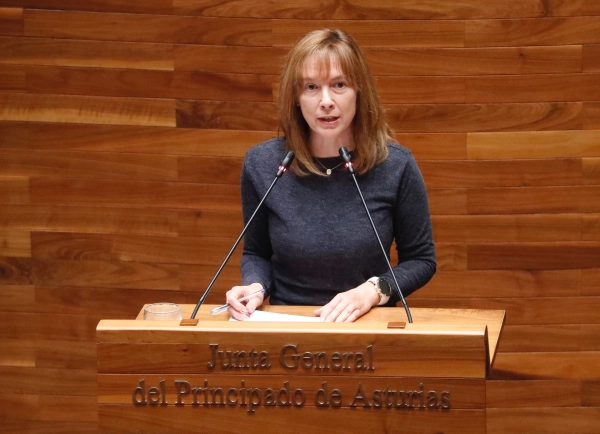 Imagen del artículo El Gobierno de Asturias ejecutó más del 90% del presupuesto autonómico en 2022