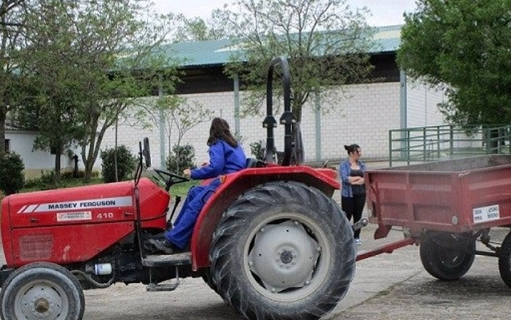 Imagen del artículo La Junta somete a información pública el proyecto de decreto que regula las ayudas al establecimiento de jóvenes agricultores en Extremadura