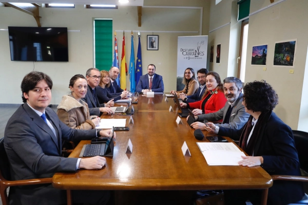 Imagen del artículo El Gobierno de Asturias insta al Ministerio de Transportes a resarcir de inmediato al Principado por los incumplimientos en las infraestructuras ferroviarias