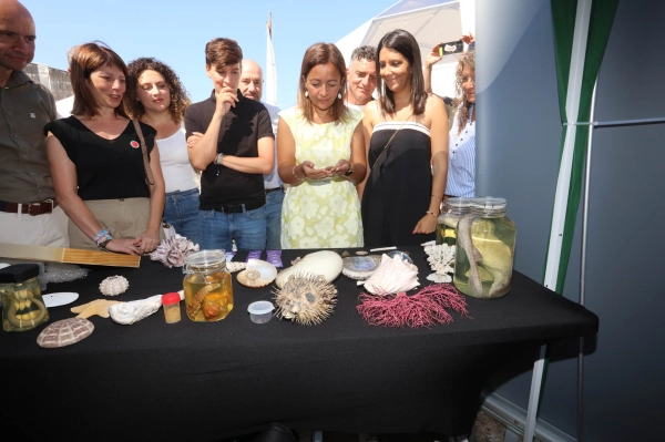 Image 1 of article A Xunta e a Confraría de Corcubión resaltan a calidade do peixe e mariscos galegos cunhas xornadas gastronómicas
