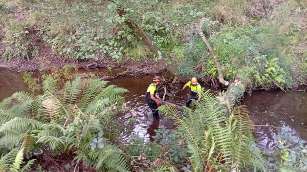 Imagen del artículo A Xunta realiza labores de conservación nun tramo fluvial de case 650 metros no concello da Capela