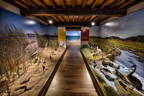 Imagen del artículo El Museo de la Naturaleza organiza 'El Instante de la Creación' que acerca a los visitantes a la naturaleza y la ciencia a través del arte
