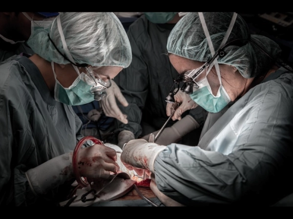 Imagen del artículo Es consoliden les bones xifres de recuperació del trasplantament d'òrgans a Catalunya aquest 2023