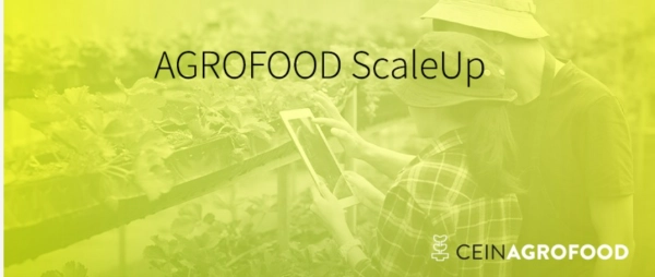 Imagen del artículo Abierta la tercera edición del programa Agrofood Scale Up de CEIN 