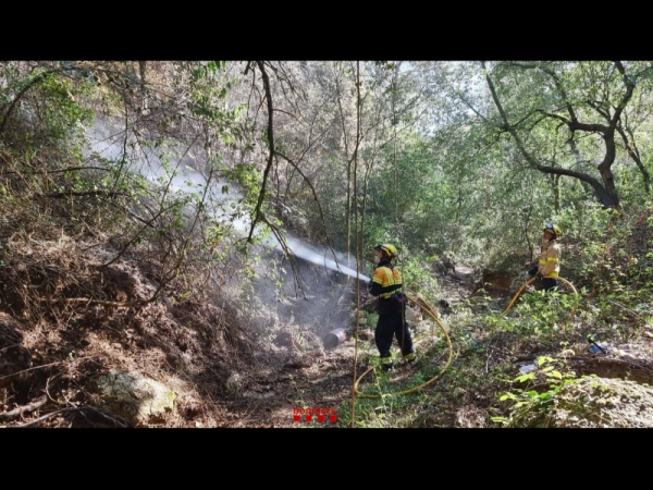 Imagen del artículo Extingit l'incendi de Mont-roig del Camp (Baix Camp), que ha afectat 13,09 hectàrees