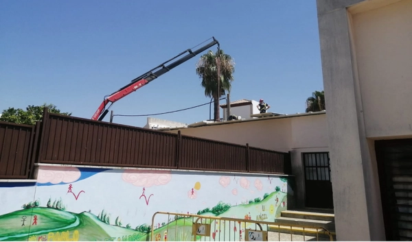 Imagen del artículo Educación programa 40 obras de retirada de amianto en centros escolares de Andalucía este verano