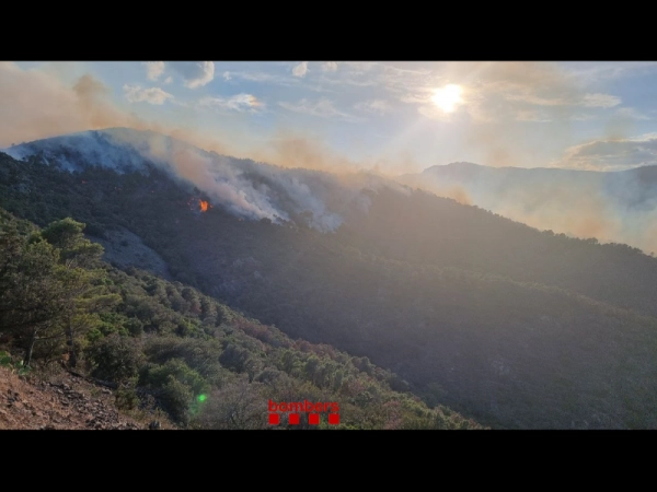 Imagen del artículo Els Bombers de la Generalitat treballen en un incendi forestal a Portbou (Alt Empordà)
